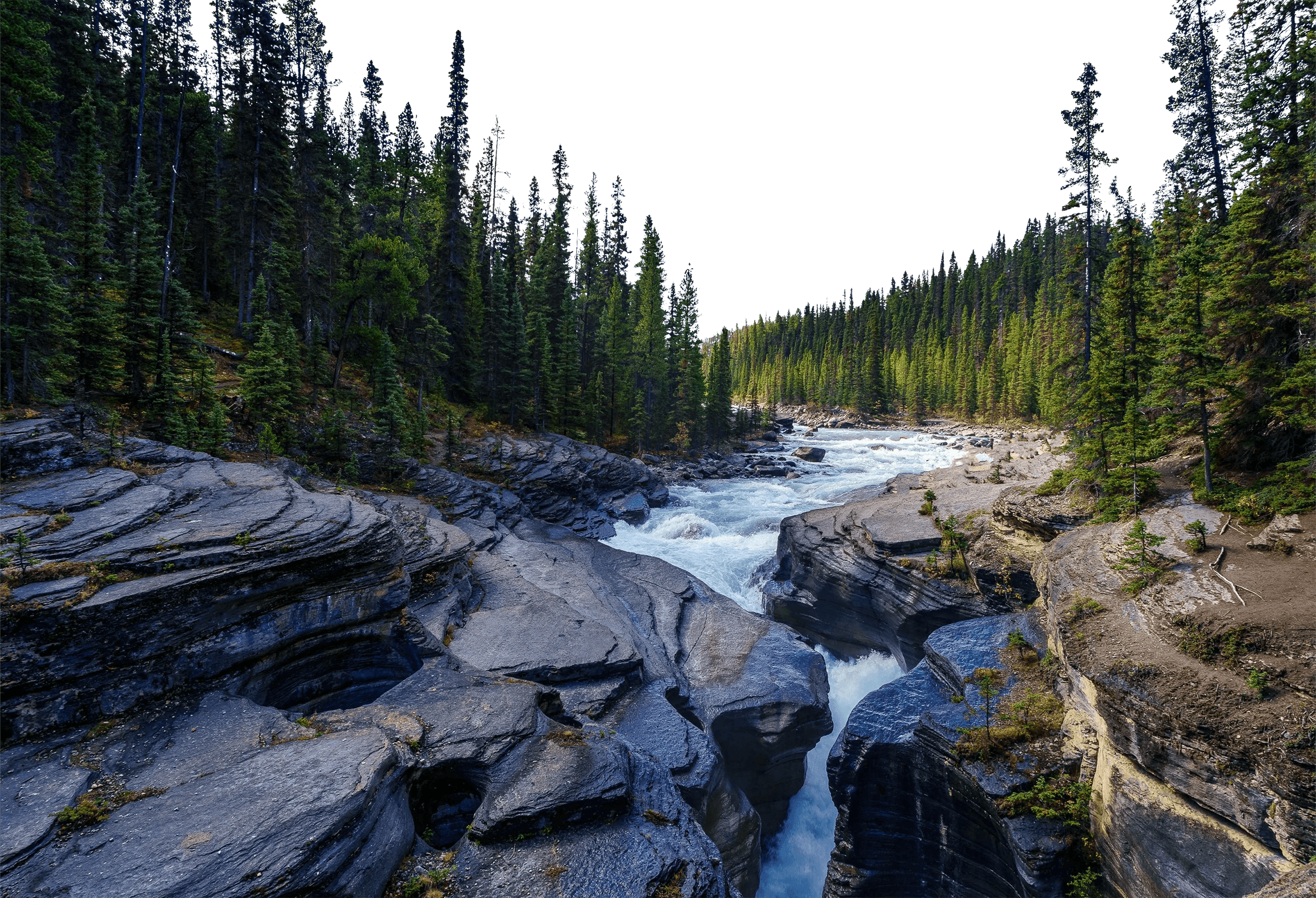 Vinyly... foreground